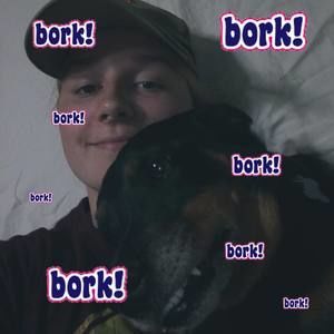 Meet your Posher, Cheyenne